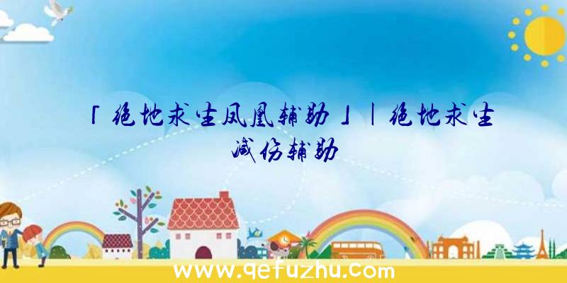 「绝地求生凤凰辅助」|绝地求生减伤辅助